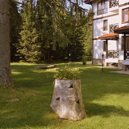 Northstar Ski Apartment In Mountain Lake Hotel Pamporovo Luaran gambar