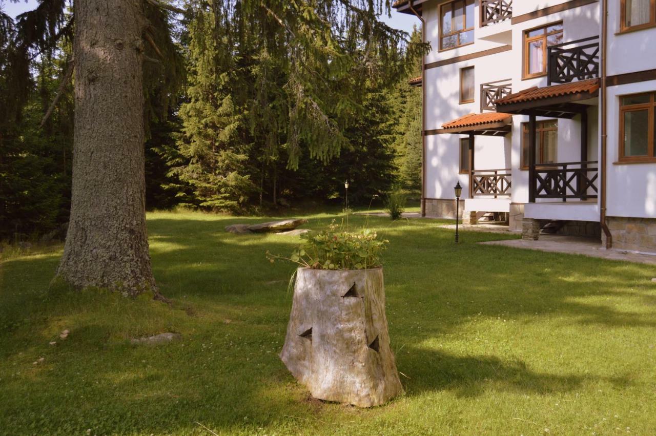 Northstar Ski Apartment In Mountain Lake Hotel Pamporovo Luaran gambar